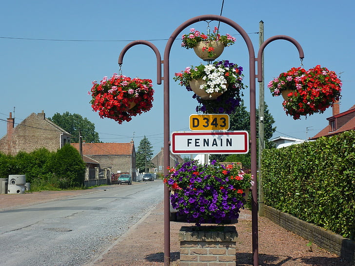 nord, france, flowers, sign, sky, buildings, town