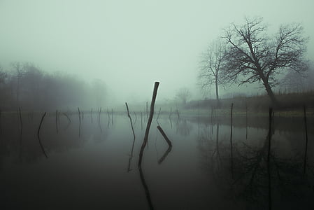 fogy, день, озеро, Фото, туман, Туманний, Природа
