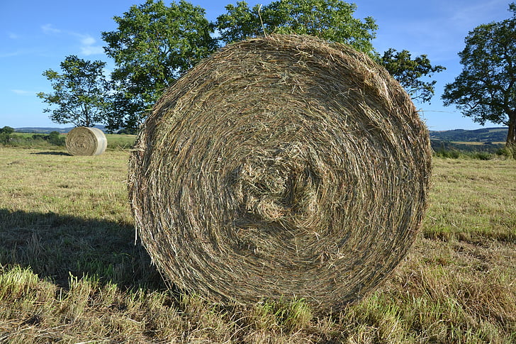 hay, roller, nature, texture, dry, grass