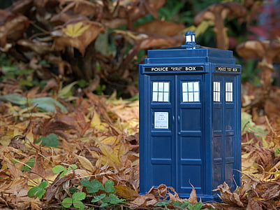 tardis, dr who, doctor who, undergrowth, leaves, time, travel