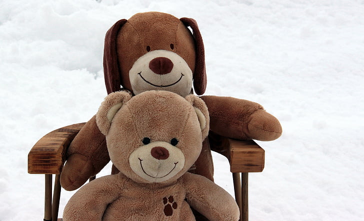 Teddy bears, abbraccio, animale di peluche, giocattolo morbido, orsetto peloso, coccolone, animali di peluche