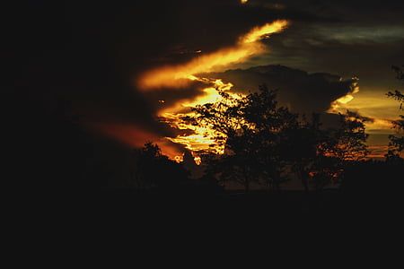 silhouet, foto, boom, natuur, landschap, zonsondergang, bomen