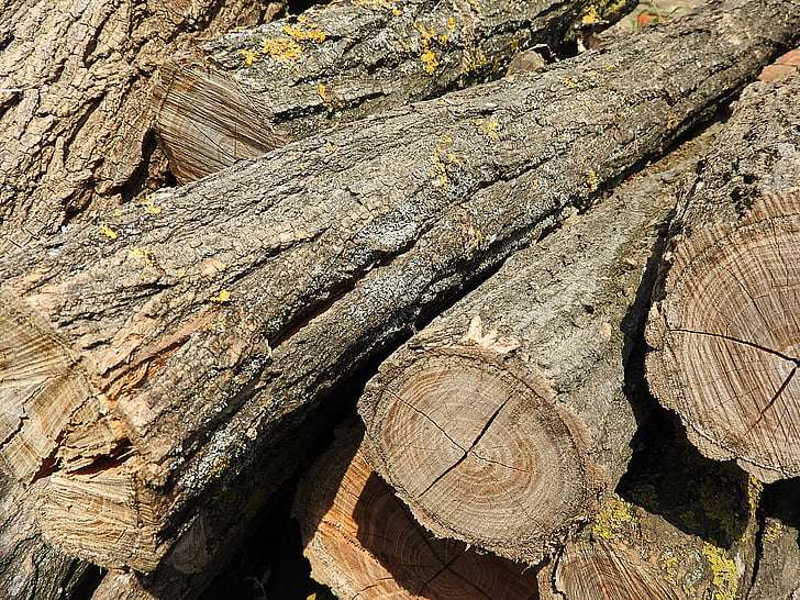 Log, Stamm, Haufen von Holz, Holz