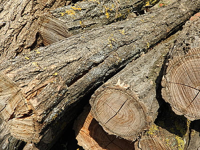 ログ, 族, 木の杭, 木材