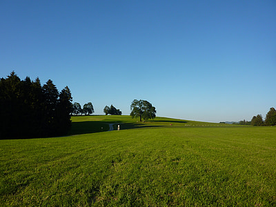 allgäu, m farms, gestratz, meadow, pasture, idyll