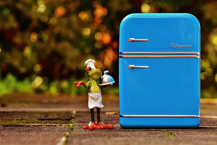 frog, cooking, refrigerator, blue, figure, funny, frogs