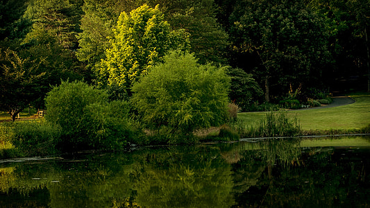 Virginia, Park, Meadow lark botanische tuinen, wandeling, groen, middag, schilderachtige