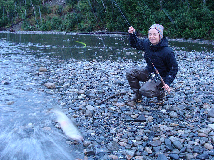 pesca, Alaska, salmone, natura, pesce, ragazza, donna