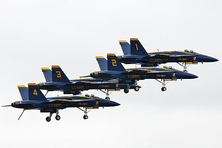 Flugzeug, blaue Winkel, Flugzeug, Meer fair, Seattle, Militärflugzeug, Kampfjet