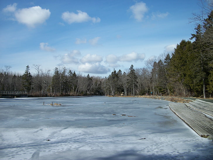 Parcul shubie, iarna, Nova scotia, Canada