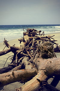 Strand, Baum, Natur, Ozean, Hintergrund