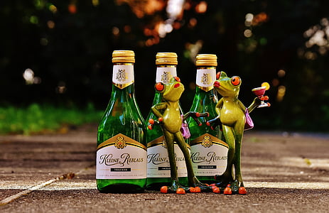 frogs, wine, drink, restaurant, weinstube, alcohol, figure