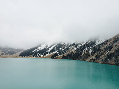 niebla, Lago, junto al lago, niebla, montaña, árboles, agua