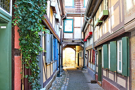 Quedlinburg, hẻm, giàn, mặt tiền, cũ, đầy màu sắc, kiến trúc