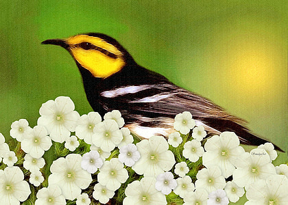 warbler, bird, nature, painting, flowers, wildlife, animal