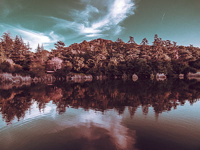 naturaleza, paisaje, agua, Río, Lago, reflexión, maderas