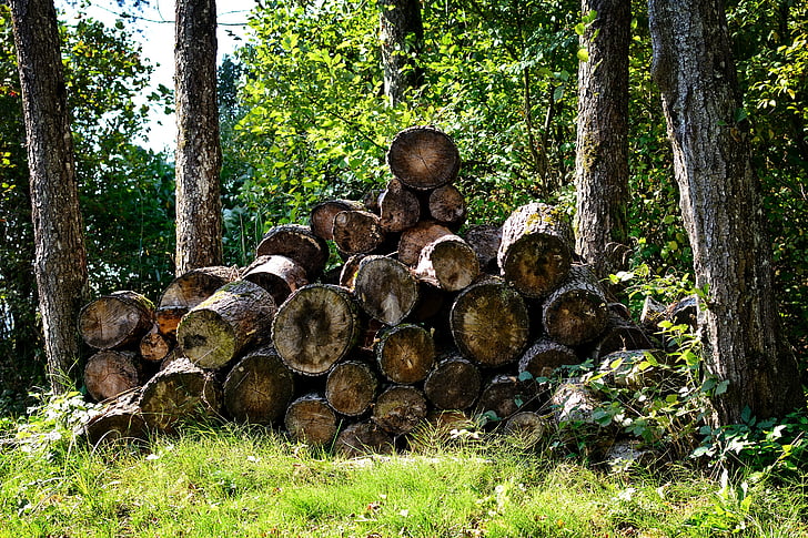 kayu, kayu bakar, holzstapel, alam, ditumpuk, tumbuh saham, tumpukan kayu