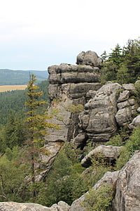 grillige rotsen, Kudowa zdrój, het nationaal park, tabel bergen