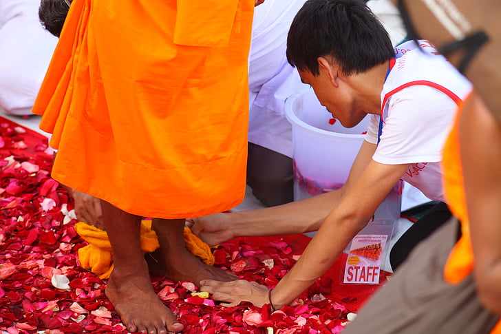 budistas, monges, pé, tradição, cerimônia de, pessoas, Tailândia