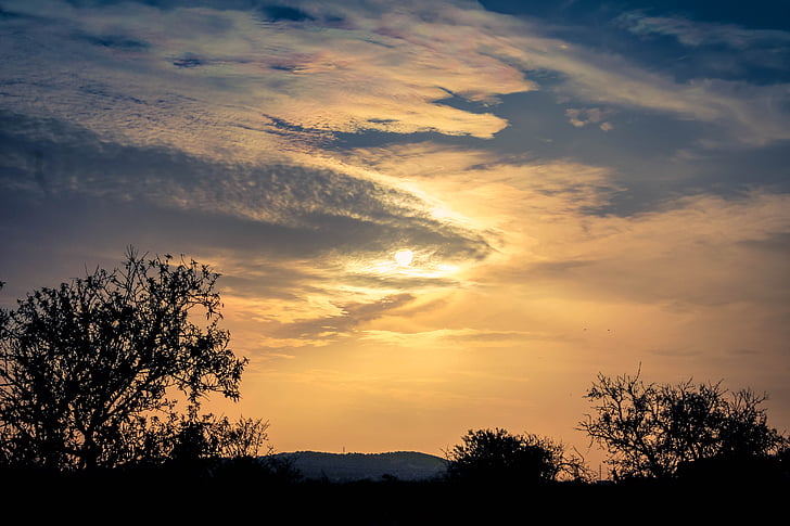 sunset, trees, sky, clouds, landscape, mallorca, sea