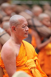 mnich, buddhistický, meditovat, tradice, obřad, oranžová, roucho