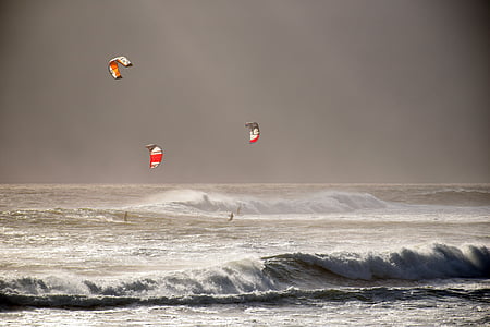 windsurfing, ocean, sea, sport, wind, surfing, active
