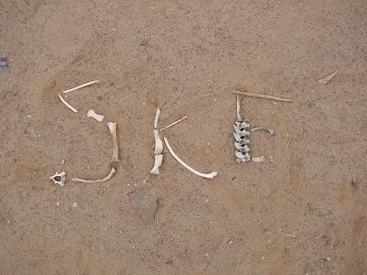 Skeleton coast, Pustynia, kości, piasek, Natura, Plaża