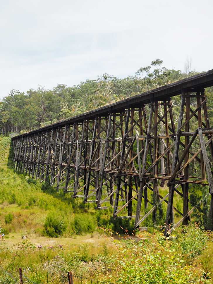 pont sur chevalets, pont, Stony creek trestle bridge, pont ferroviaire de, train