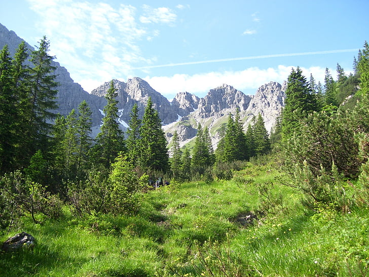 Alp, krajine, gore, narave, pogled
