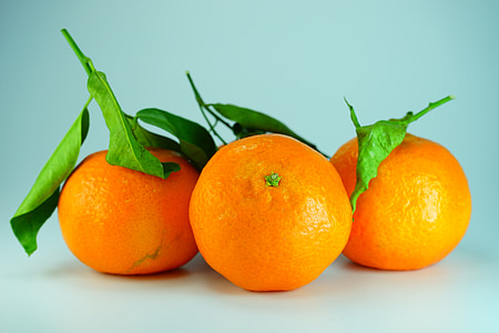 klementiinit, appelsiinit, mandariinit, sitrushedelmät, oranssi, hedelmät, lehdet