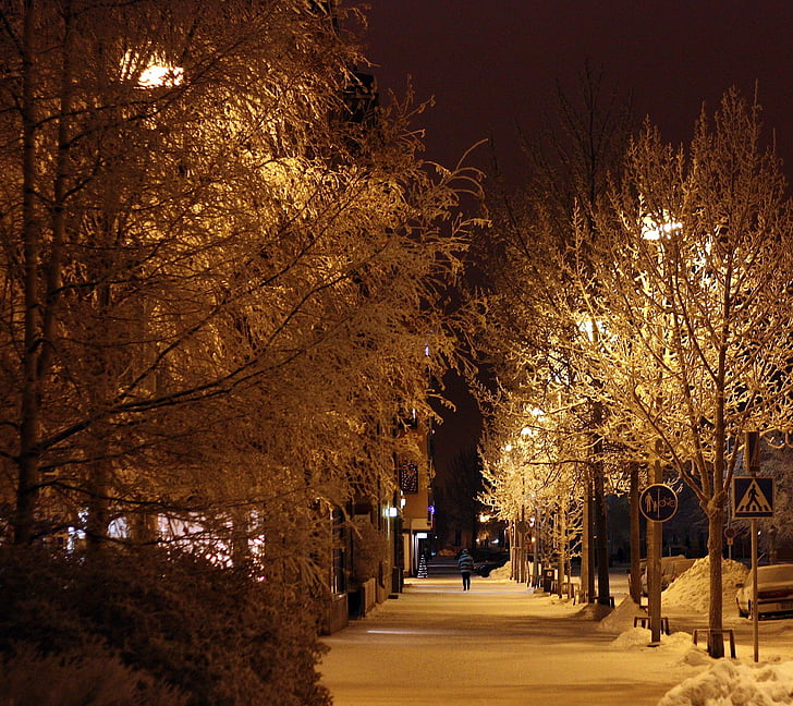 Oulu, Suomija, naktį, vakare, gatvė, medžiai, asmuo