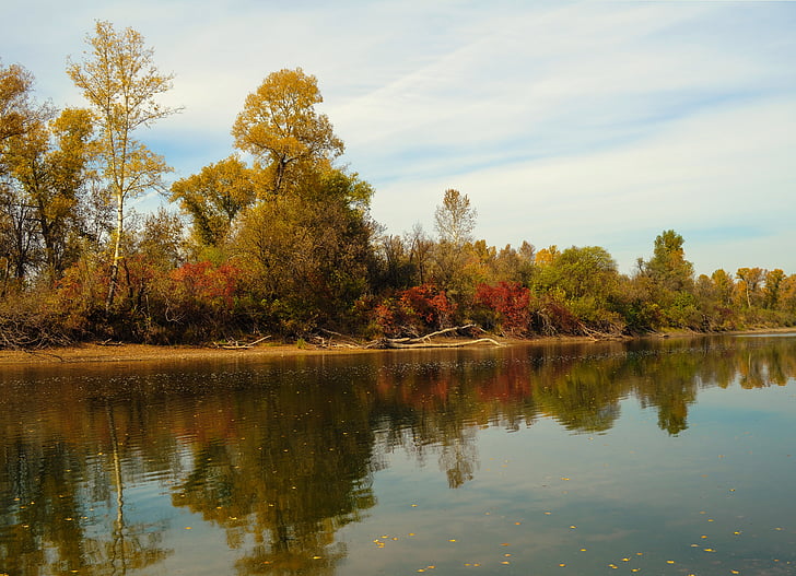 krajina, Příroda, podzim, Les, řeka, voda, reflexe