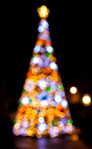 iluminado, Navidad, árbol, noche, luces, oscuro, bokeh