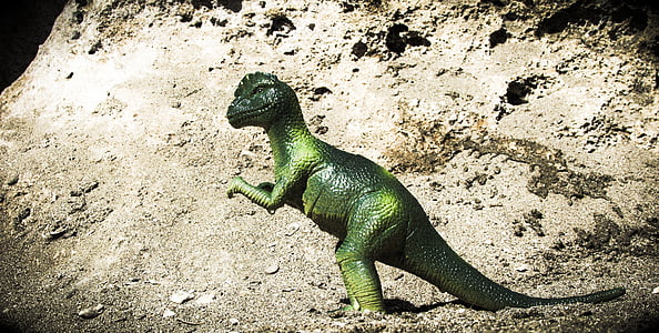 pachycephalosaurus, ไดโนเสาร์, สัตว์, สัตว์เลื้อยคลาน, สูญพันธุ์, ยุคก่อนประวัติศาสตร์, มีประสิทธิภาพ