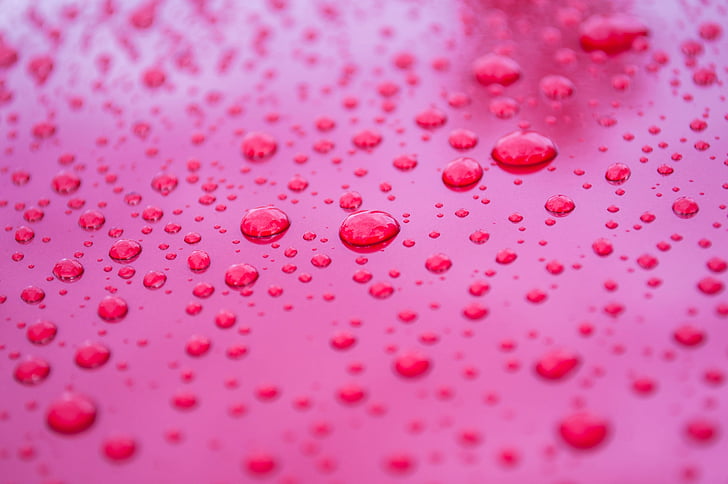 lietus, lietus lāses, ūdens piliens, ūdens, pilieni, rozā, sarkana