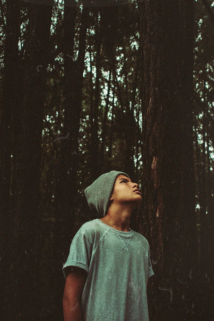 home, xicot, gorra, arbres, bosc, natura, model de