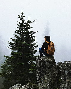 foggy, man, person, rocks, solo, trees