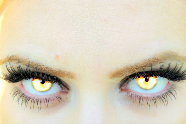 olho, amarelo, vampiro, Gene, mulheres, olho humano, Pestana