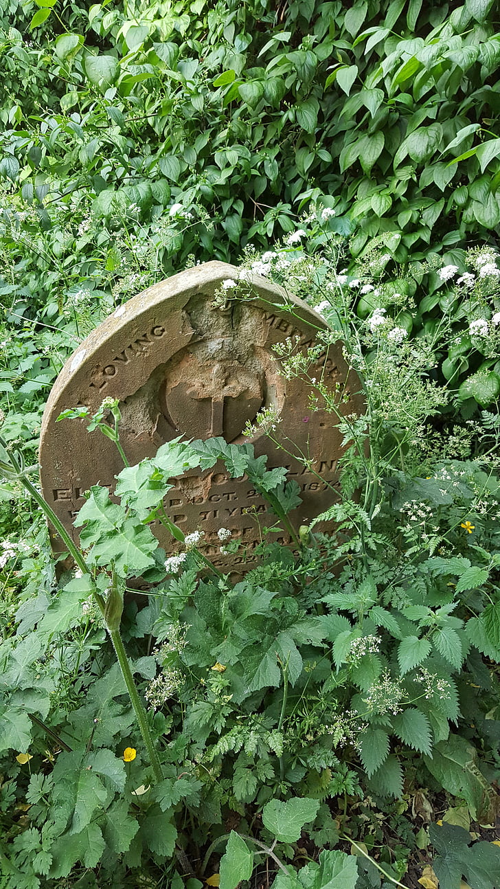 gravestone, graveyard, overgrown, headstone, churchyard, spooky, memory
