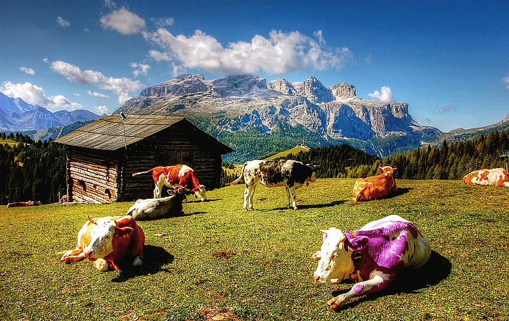 Alm, Alpine, hory, Južné Tirolsko, Príroda, Chata, Pešia turistika