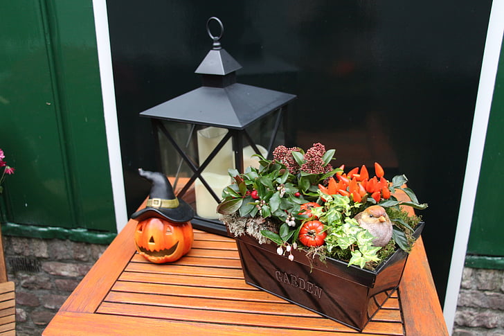 pumpkin, halloween, decorated, table, lantern, light, color