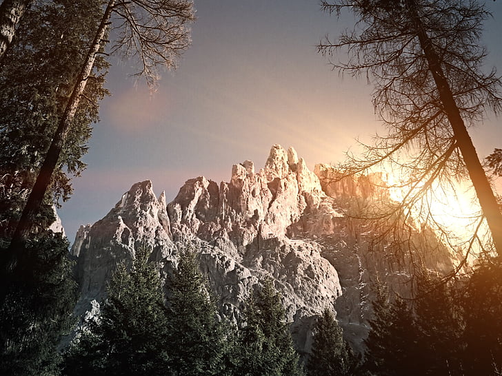 trees, near, grey, rock, formation, daytime, mountain