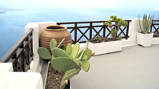 Architektura, Santorini balkon, Grecja, rośliny, podróży