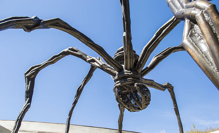 Tēlniecība, zirnekļa skulptūra, metāla skulptūra, zirneklis, statuja, kukainis, kājas