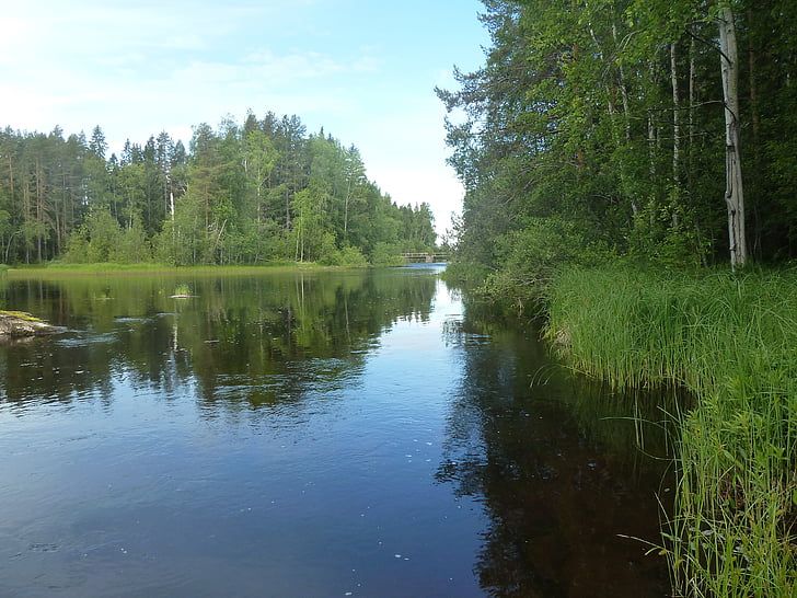 nước, sông, mùa hè, màu xanh, himmel, bureå, Bure sông