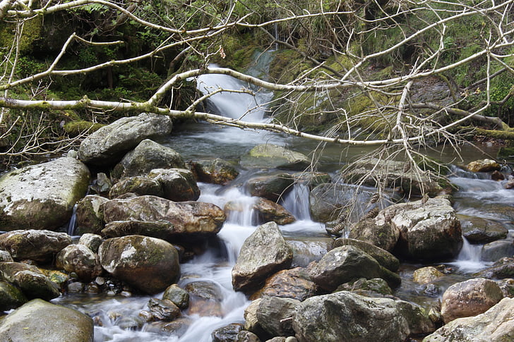 flux de données, ruisseau, flux, eau, nature, Irlande, Wicklow