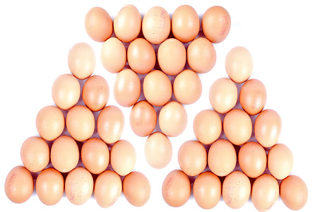 uovo, pollo, ovale, cibo, fotografia, Close-up, isolato