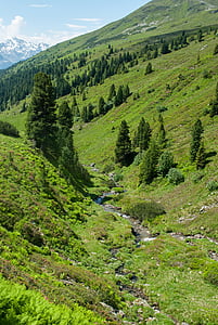montañas, senderismo, de Bach, naturaleza, paisaje, Alpine, Idilio
