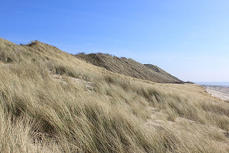 l'estiu, dunes, Costa, l'aigua, cel blau, Països Baixos, Dune