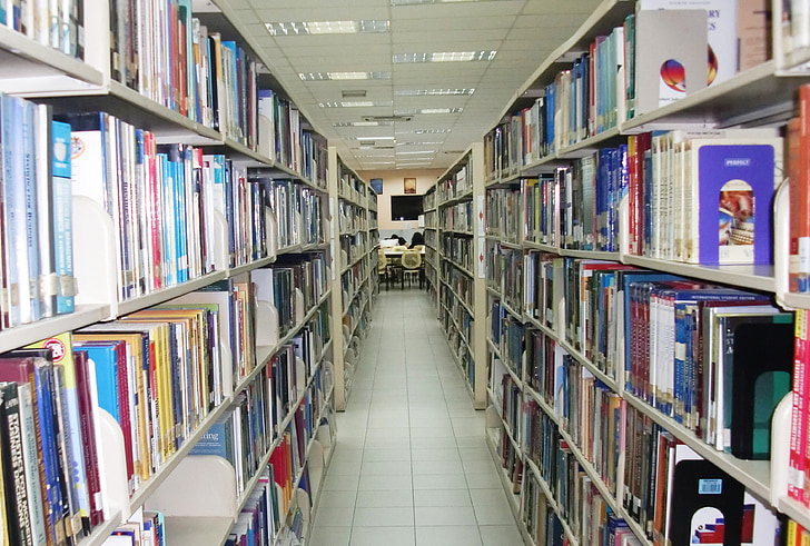 llibre, Biblioteca, l'escola, llibres, l'educació, coneixement, referència